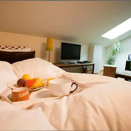 فندق مبيت وإفطار La Clemonie 4*